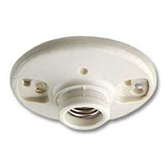 Leviton 49875 Outlet Box Mount Incandescent Lampholder