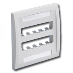 Panduit® CFPE10-2G Mini-Com Executive Series Faceplates