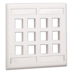 Panduit® NK12FEIY NetKey Double Gang Flush Mount Vertical Screw-on Faceplate with Labels