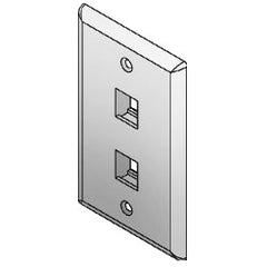 ICC IC107F2CIV 2-Port 1-Gang Flat Faceplate (Package of 25)