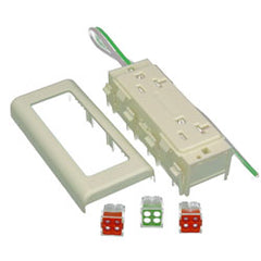 Legrand - Wiremold V2427GT 2400 Series™ 20A Duplex Receptacle Fitting