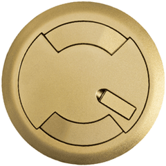 Legrand - Wiremold 6CTC2SB Evolution 6AT Series Surface Style Cover Assembly, Satin Brass
