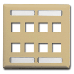 ICC IC107SD8 Double Gang Faceplate with Station ID-8 Port