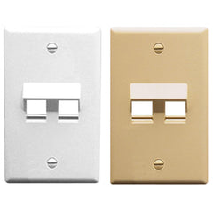 ICC IC107DA2 Angled 2-Port 1-Gang Faceplate