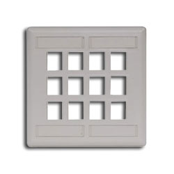 Hubbell IFP212 IFP Double Gang Wall Plate - 12 Ports