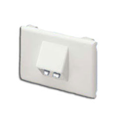 Panduit® T70FH2IW Horizontal Sloped Communications Faceplate - 2 Modules