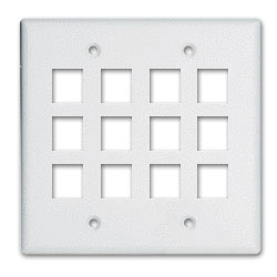 Legrand - On-Q WP3212 2-Gang, 12-Port Wall Plate