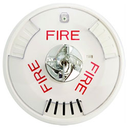 Wheelock HSW Exceder Series 12/24 V DC Ceiling Mountable Horn Strobe