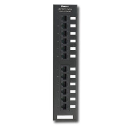 Panduit® NK5EPPG12WY NetKey Category 5e Wall Mounted 12-Port Punchdown Patch Panel